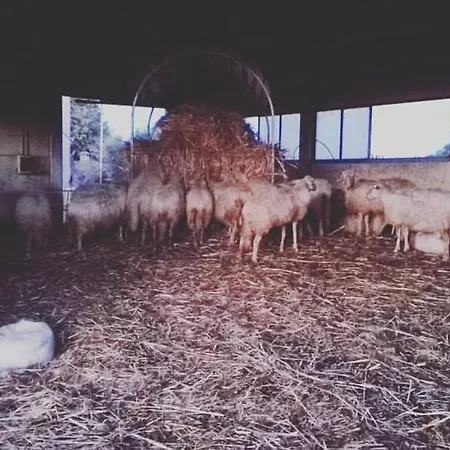 Casa Neri * Istia dʼOmbrone