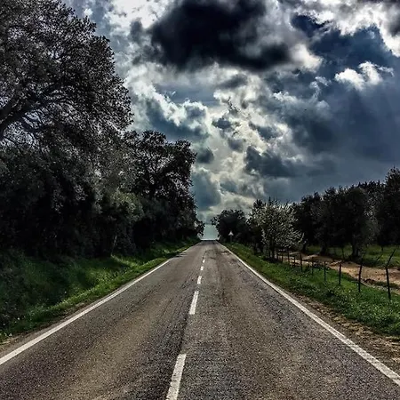 Casa Neri Bed & Breakfast Istia dʼOmbrone