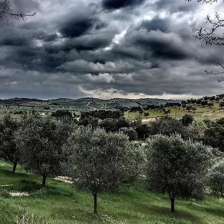 Bed & Breakfast Casa Neri Istia dʼOmbrone